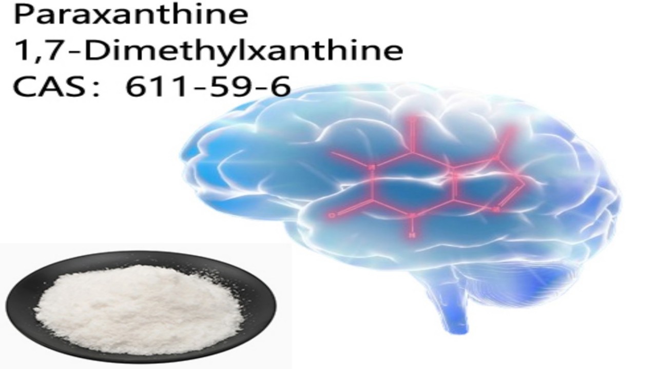 How Paraxanthine Powder Can Enhance Physical and Mental Performance