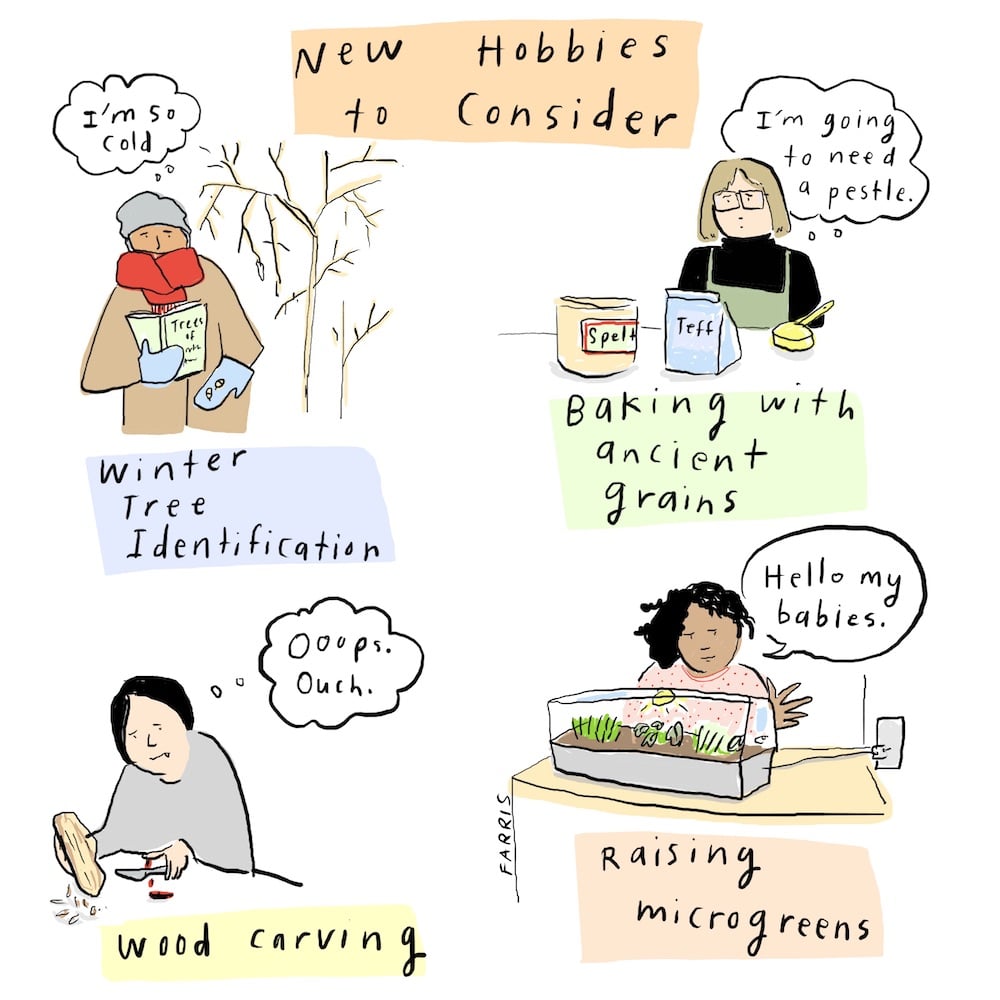 New Hobbies to Consider